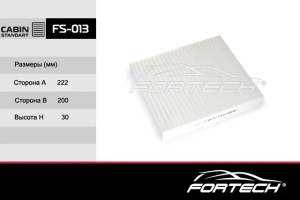 FS013