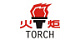 TORCH