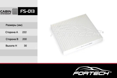 FS013