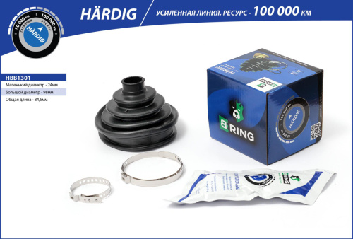 HBB1301