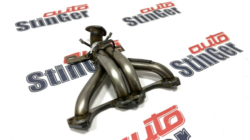 Паук Ларгус 8кл.